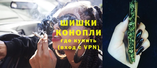 ПСИЛОЦИБИНОВЫЕ ГРИБЫ Гусев