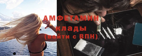 ПСИЛОЦИБИНОВЫЕ ГРИБЫ Гусев