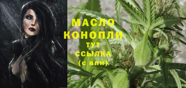 ПСИЛОЦИБИНОВЫЕ ГРИБЫ Гусев