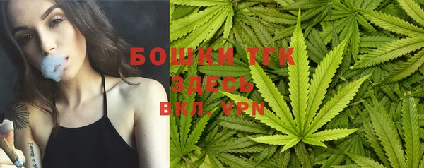 ПСИЛОЦИБИНОВЫЕ ГРИБЫ Гусев