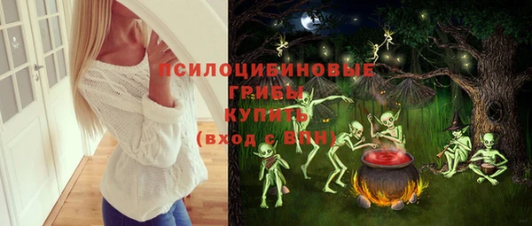 бошки Гусь-Хрустальный