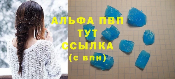 ПСИЛОЦИБИНОВЫЕ ГРИБЫ Гусев