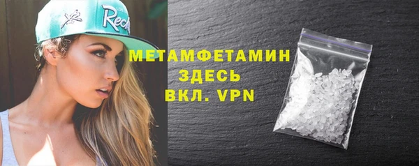 ПСИЛОЦИБИНОВЫЕ ГРИБЫ Гусев